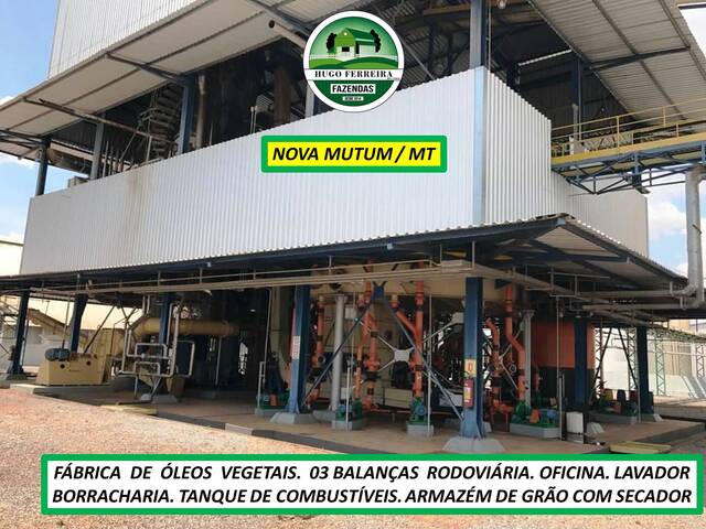 #8055 - Fazenda para Venda em Nova Mutum - MT - 2