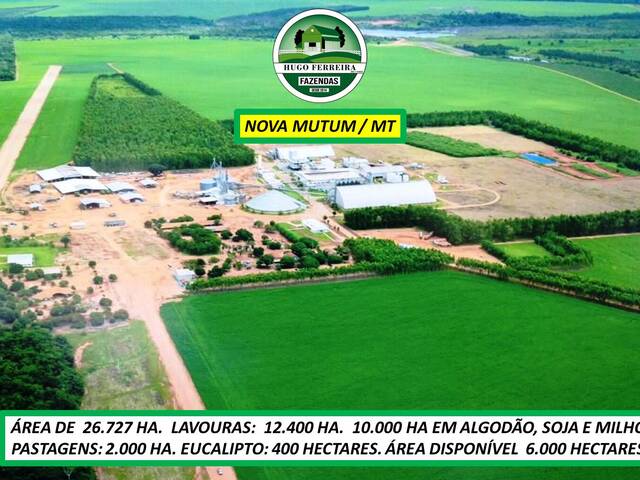 #8055 - Fazenda para Venda em Nova Mutum - MT - 3