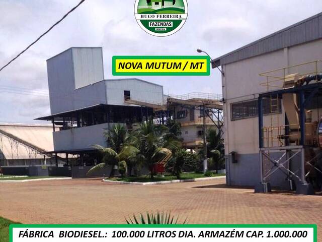 #8066 - Usina para Venda em Nova Mutum - MT - 2