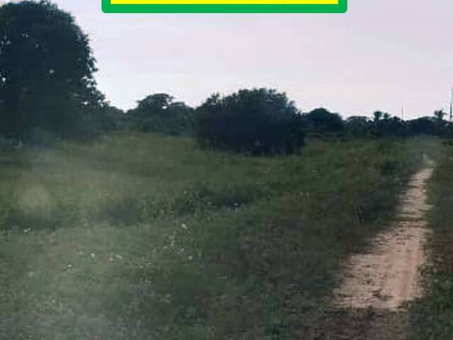 #8077 - Fazenda para Venda em Rondonópolis - MT - 2