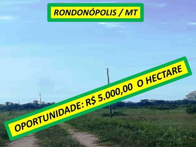 #8077 - Fazenda para Venda em Rondonópolis - MT - 1