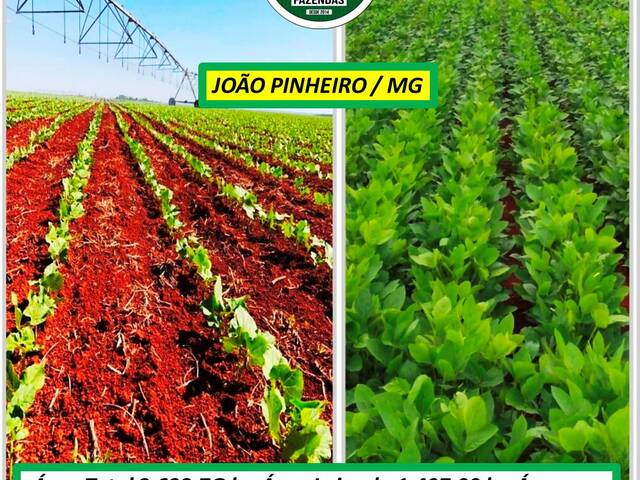 #8090 - Fazenda para Venda em João Pinheiro - MG