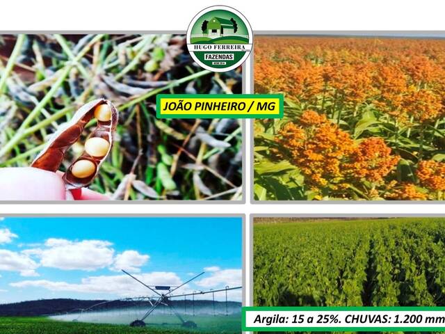 #8090 - Fazenda para Venda em João Pinheiro - MG