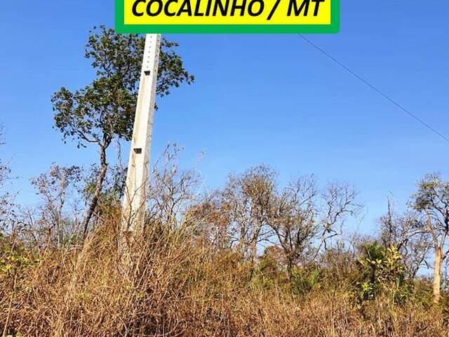#8100 - Fazenda para Venda em Cocalinho - MT - 2