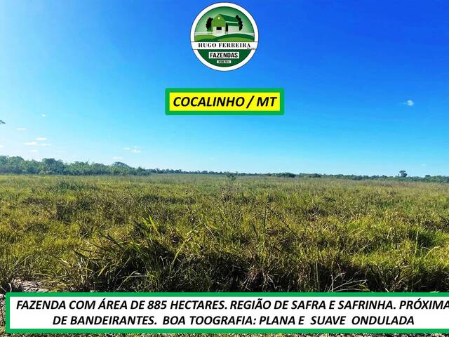 #8100 - Fazenda para Venda em Cocalinho - MT - 3