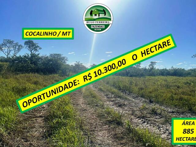 #8100 - Fazenda para Venda em Cocalinho - MT