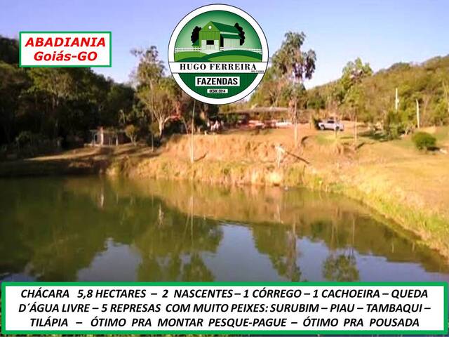 #8131 - Chácara para Venda em Abadiânia - GO - 3