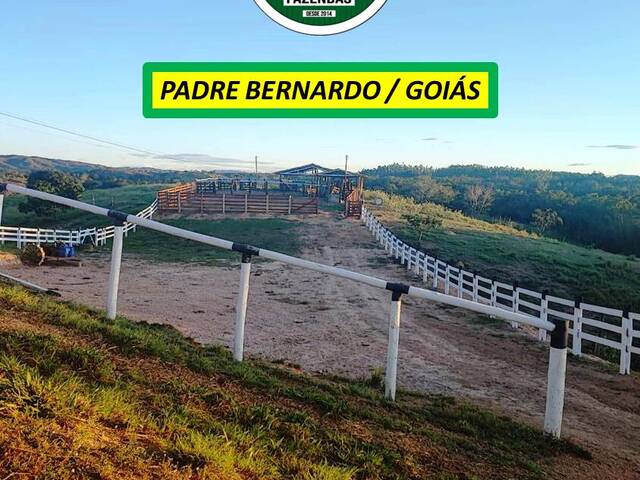 #8158 - Fazenda para Venda em Padre Bernardo - GO - 2
