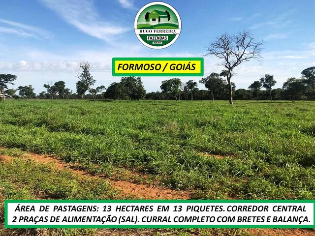 #8171 - Fazenda para Venda em Formoso - GO - 2
