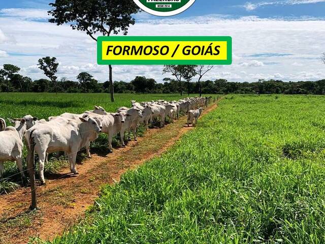 #8171 - Fazenda para Venda em Formoso - GO - 3