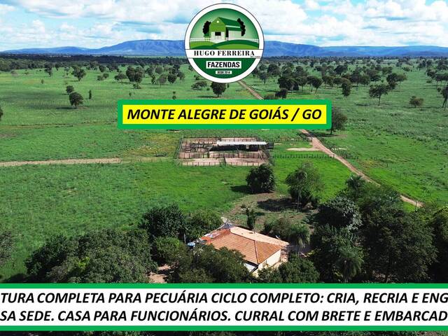 #8181 - Fazenda para Venda em Monte Alegre de Goiás - GO - 2