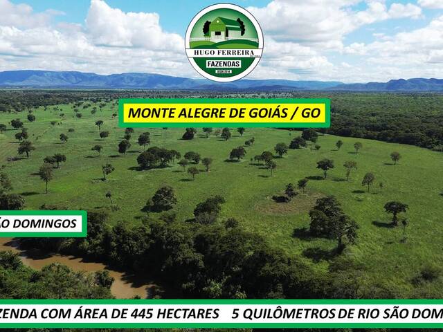 #8181 - Fazenda para Venda em Monte Alegre de Goiás - GO - 3