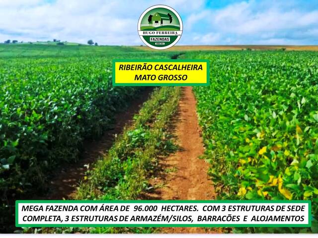 #8233 - Fazenda para Venda em Ribeirão Cascalheira - MT - 2