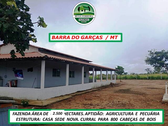  para  em  - 2