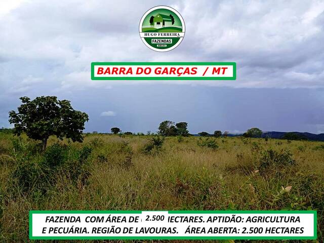  para  em  - 3