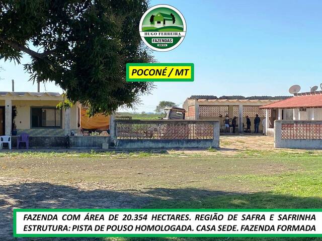  para  em  - 4