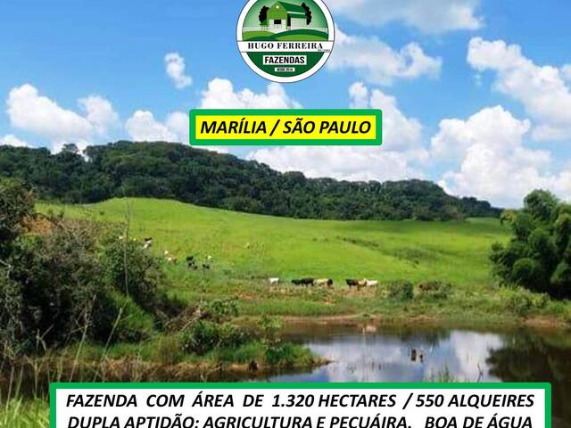  para  em  - 3