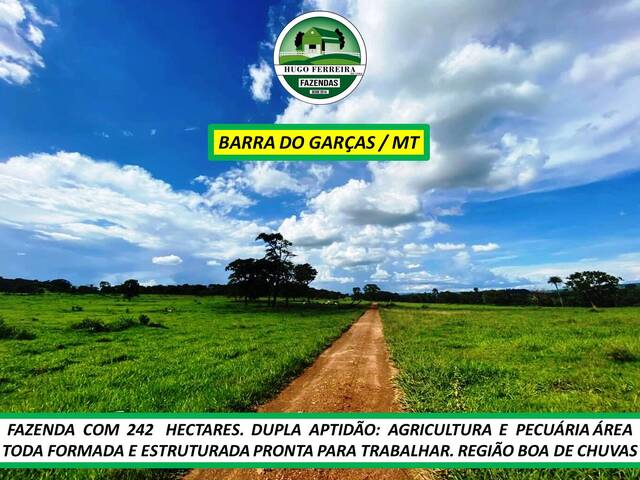  para  em  - 3