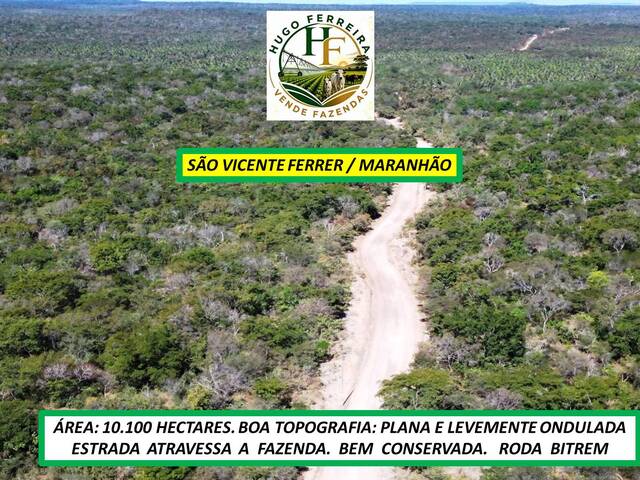  para  em  - 4