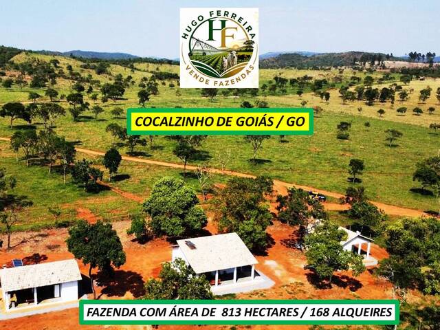  para  em  - 3