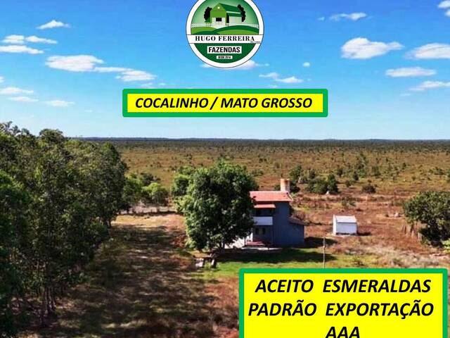 #8422 - Fazenda para Venda em Cocalinho - MT - 2