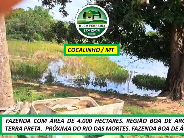 #8422 - Fazenda para Venda em Cocalinho - MT - 3