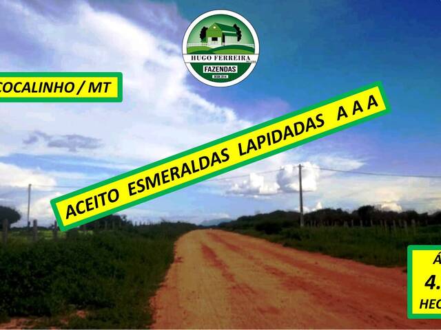 #8422 - Fazenda para Venda em Cocalinho - MT - 1