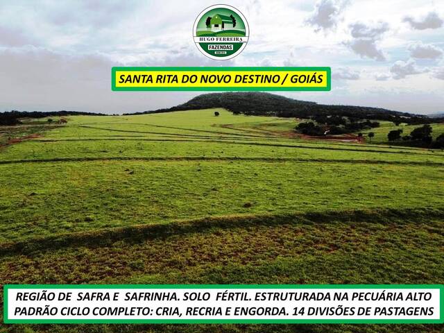 #8433 - Fazenda para Venda em Santa Rita do Novo Destino - GO - 3