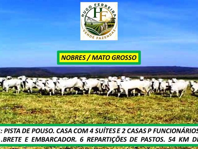 #8441 - Fazenda para Venda em Nobres - MT - 3