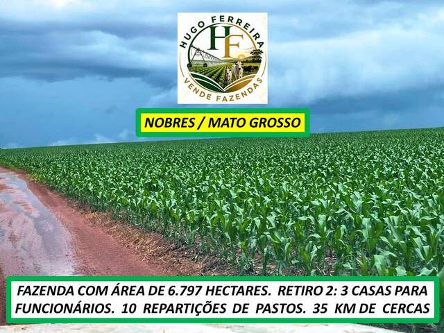 #8441 - Fazenda para Venda em Nobres - MT - 1