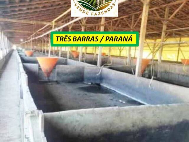 #8454 - Granja para Venda em Três Barras do Paraná - PR - 1