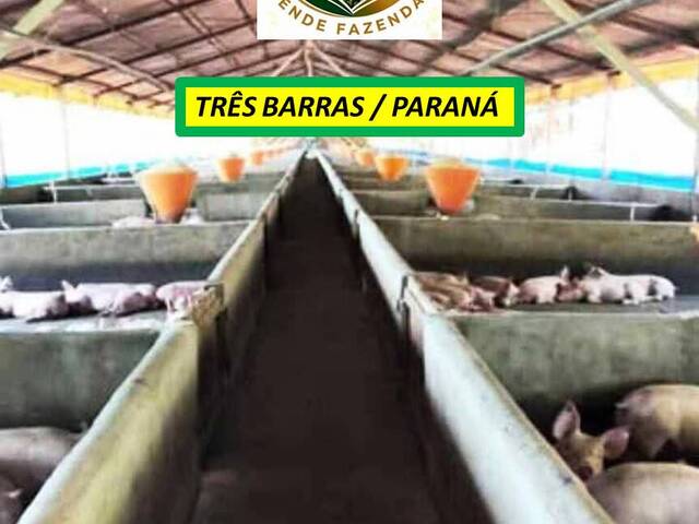 #8454 - Granja para Venda em Três Barras do Paraná - PR - 2