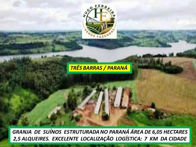 #8454 - Granja para Venda em Três Barras do Paraná - PR - 3