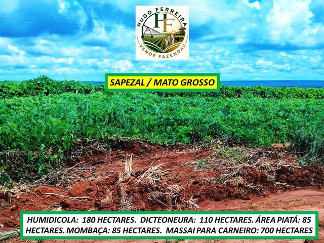 #8468 - Fazenda para Venda em Sapezal - MT