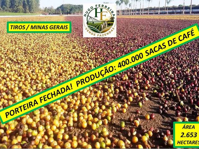 #8477 - Fazenda para Venda em Tiros - MG - 2
