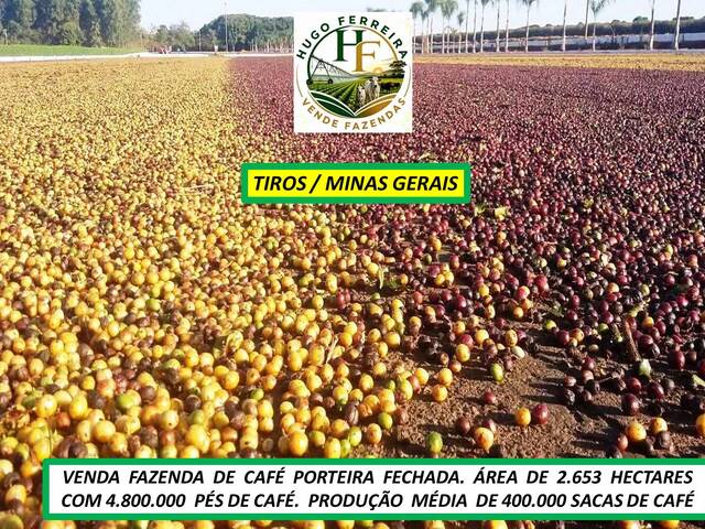 #8477 - Fazenda para Venda em Tiros - MG - 3