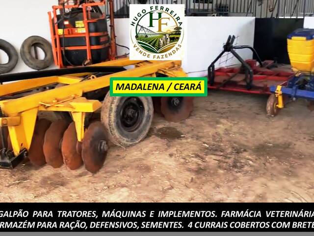 #8484 - Fazenda para Venda em Madalena - CE - 3