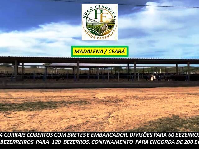  para  em  - 5