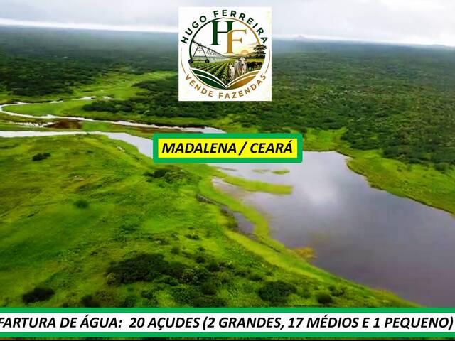 #8484 - Fazenda para Venda em Madalena - CE - 1