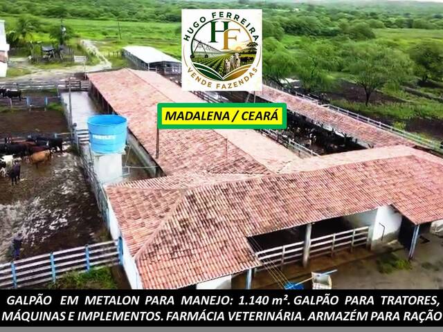 #8484 - Fazenda para Venda em Madalena - CE - 2