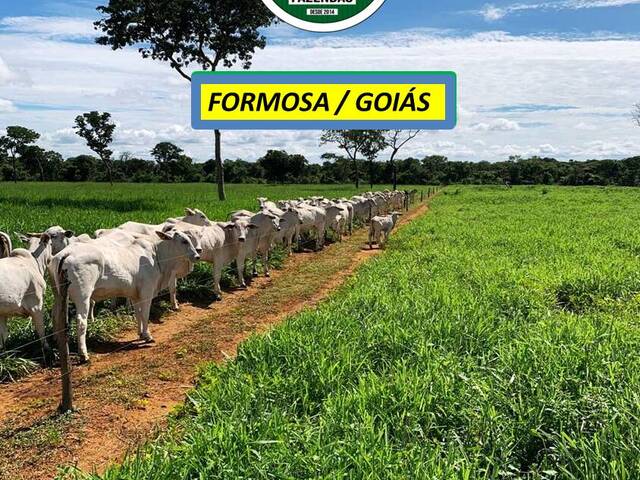 #8498 - Fazenda para Venda em Formosa - GO - 2