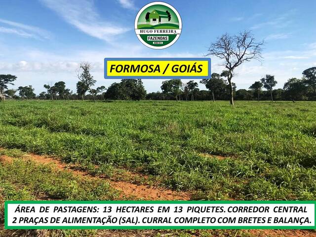 #8498 - Fazenda para Venda em Formosa - GO - 3