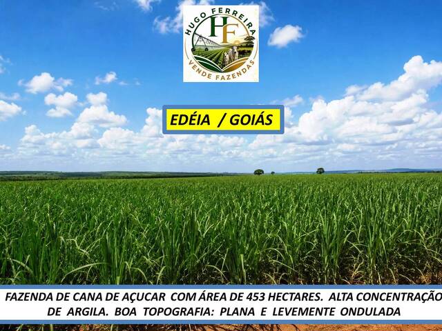  para  em  - 4