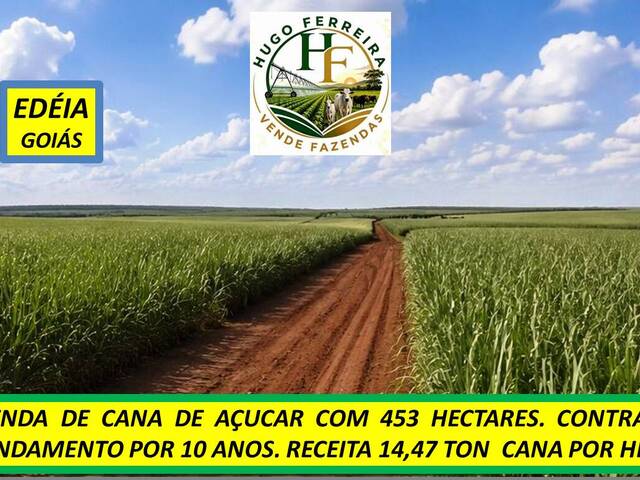 #8511 - Fazenda para Venda em Edéia - GO