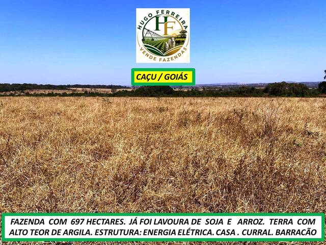 #8525 - Fazenda para Venda em Caçu - GO - 2
