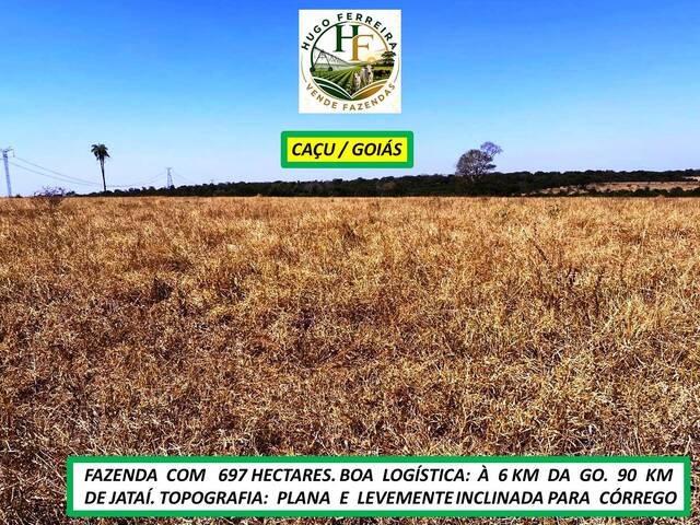 #8525 - Fazenda para Venda em Caçu - GO - 3