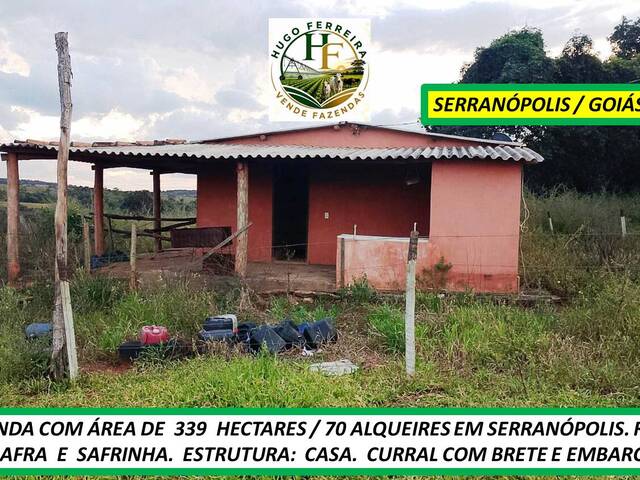 #8533 - Fazenda para Venda em Serranópolis - GO - 3