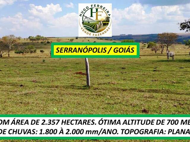 #8545 - Fazenda para Venda em Serranópolis - GO - 3