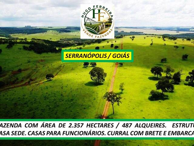 #8545 - Fazenda para Venda em Serranópolis - GO - 1