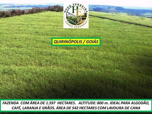 #8555 - Fazenda para Venda em Quirinópolis - GO - 2